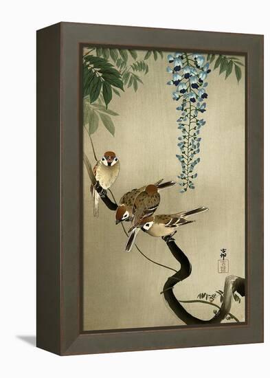 Sparrows and Wisteria-Koson Ohara-Framed Premier Image Canvas