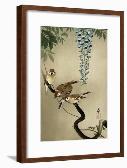 Sparrows and Wisteria-Koson Ohara-Framed Premium Giclee Print