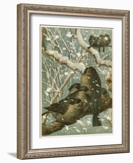 Sparrows in the Snow-English School-Framed Giclee Print