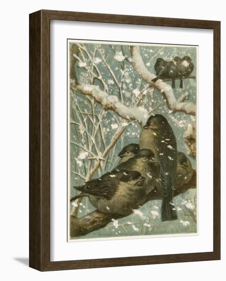 Sparrows in the Snow-English School-Framed Giclee Print