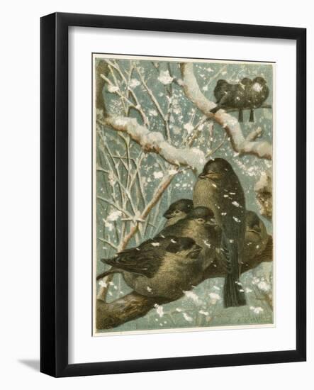 Sparrows in the Snow-English School-Framed Giclee Print