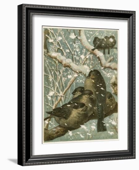 Sparrows in the Snow-English School-Framed Giclee Print