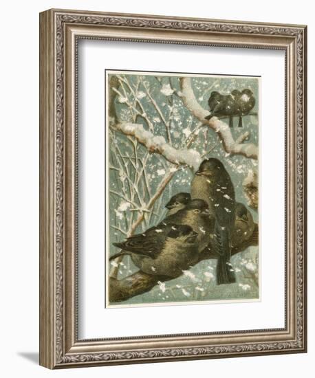 Sparrows in the Snow-English School-Framed Giclee Print