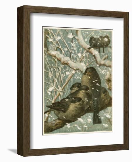 Sparrows in the Snow-English School-Framed Giclee Print