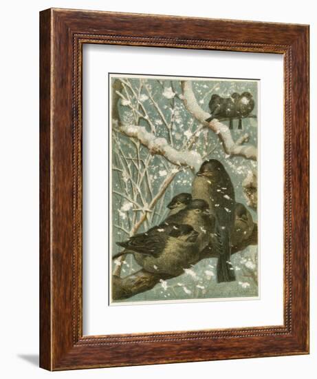 Sparrows in the Snow-English School-Framed Giclee Print