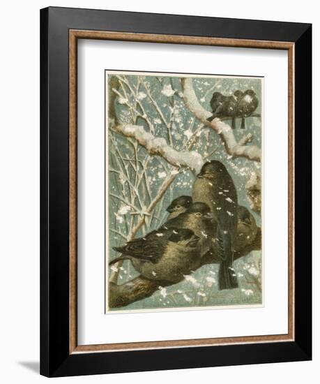 Sparrows in the Snow-English School-Framed Giclee Print