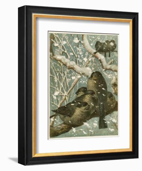 Sparrows in the Snow-English School-Framed Giclee Print