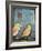 Sparrows-Tim Nyberg-Framed Giclee Print