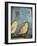 Sparrows-Tim Nyberg-Framed Giclee Print