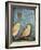 Sparrows-Tim Nyberg-Framed Giclee Print