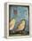 Sparrows-Tim Nyberg-Framed Premier Image Canvas