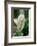 Spathiphyllum floribundum (Peace lily)-Angela Marsh-Framed Photographic Print