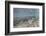 Spawning Salmon at Kinak Bay in Katmai National Park-Paul Souders-Framed Photographic Print