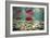 Spawning Sockeye Salmon-Peter Scoones-Framed Photographic Print