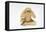 Speak No Evil, One of the Three Wise Monkeys-Japanese School-Framed Premier Image Canvas