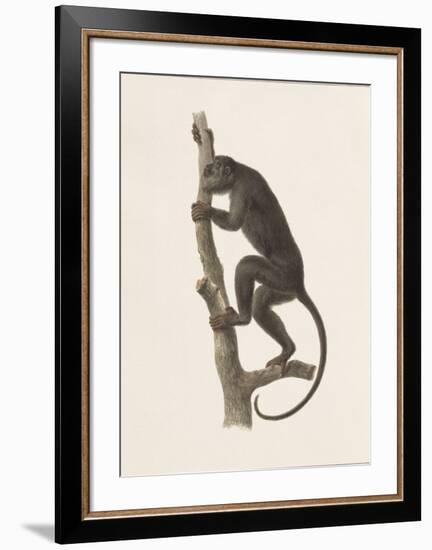 Speak No Evil-The Vintage Collection-Framed Art Print