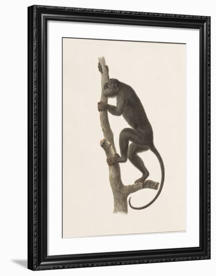 Speak No Evil-The Vintage Collection-Framed Art Print