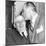 Speaker Sam Rayburn Gets a Kiss on the Head from Senate Majority Leader Lyndon Johnson-null-Mounted Premium Photographic Print