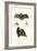 Spear-Nosed Bats, 1824-Karl Joseph Brodtmann-Framed Giclee Print