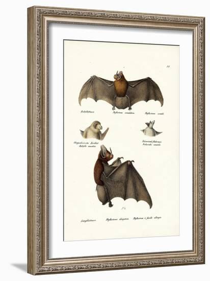 Spear-Nosed Bats, 1824-Karl Joseph Brodtmann-Framed Giclee Print