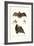 Spear-Nosed Bats, 1824-Karl Joseph Brodtmann-Framed Giclee Print