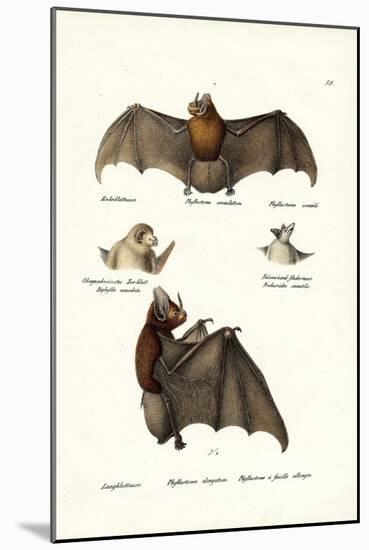 Spear-Nosed Bats, 1824-Karl Joseph Brodtmann-Mounted Giclee Print