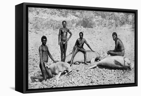 Speared Manatee, North-West Australia, 1922-null-Framed Premier Image Canvas