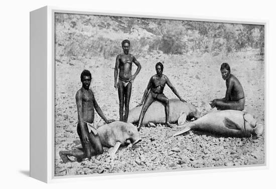 Speared Manatee, North-West Australia, 1922-null-Framed Premier Image Canvas