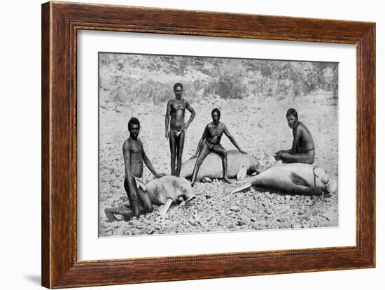 Speared Manatee, North-West Australia, 1922-null-Framed Giclee Print