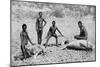 Speared Manatee, North-West Australia, 1922-null-Mounted Giclee Print