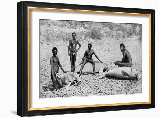 Speared Manatee, North-West Australia, 1922-null-Framed Giclee Print