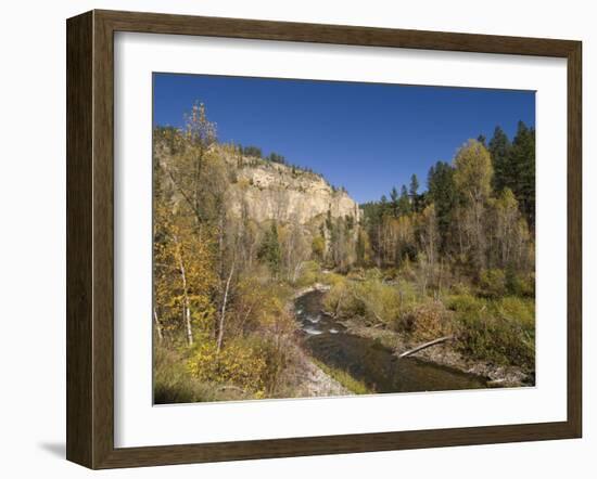 Spearfish Canyon, Black Hills, South Dakota, United States of America, North America-Pitamitz Sergio-Framed Photographic Print