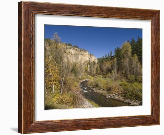 Spearfish Canyon, Black Hills, South Dakota, United States of America, North America-Pitamitz Sergio-Framed Photographic Print