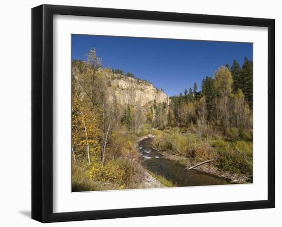 Spearfish Canyon, Black Hills, South Dakota, United States of America, North America-Pitamitz Sergio-Framed Photographic Print