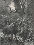 Herd of Wild Boar Wander Through the Woods-Specht-Mounted Photographic Print