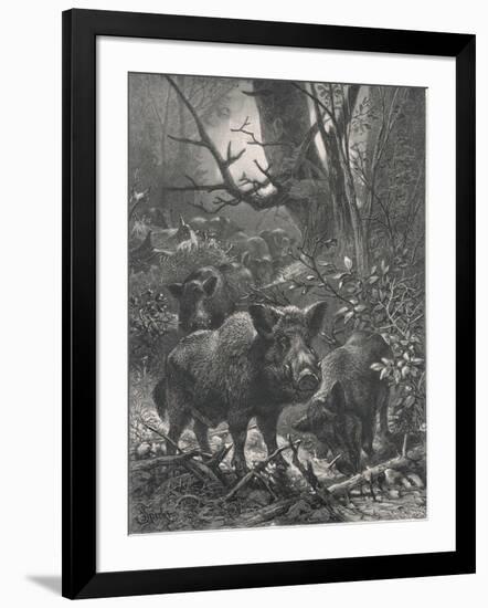Photographic Print, , large