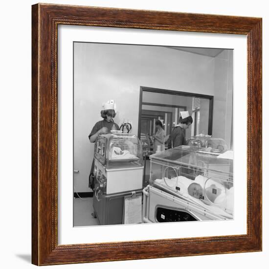 Special Care Unit for Premature Babies, Nether Edge Hospital, Sheffield, South Yorkshire, 1969-Michael Walters-Framed Photographic Print