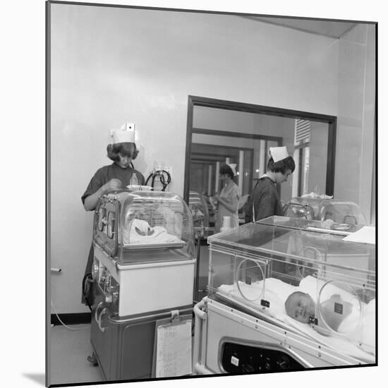 Special Care Unit for Premature Babies, Nether Edge Hospital, Sheffield, South Yorkshire, 1969-Michael Walters-Mounted Photographic Print