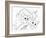 Special Delivery Lineart-Karen Middleton-Framed Giclee Print