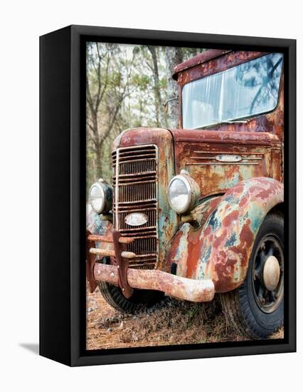 Special Delivery-Danny Head-Framed Premier Image Canvas