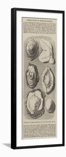 Specimen of Fossils Recently Found at Tingewick, Bucks-null-Framed Giclee Print