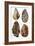 Specimens of Patination in Britain, 1926-null-Framed Giclee Print