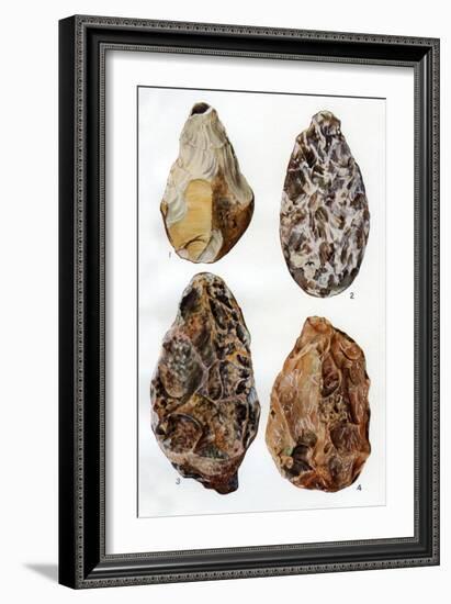 Specimens of Patination in Britain, 1926-null-Framed Giclee Print