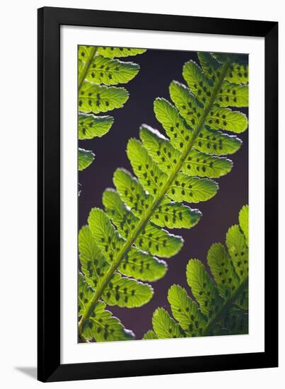 Speckled Floral-Jake Eastham-Framed Giclee Print