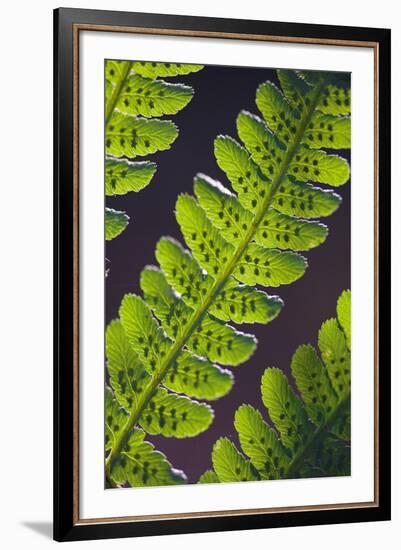 Speckled Floral-Jake Eastham-Framed Giclee Print