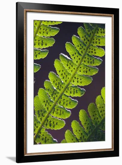 Speckled Floral-Jake Eastham-Framed Giclee Print