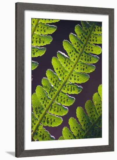 Speckled Floral-Jake Eastham-Framed Giclee Print