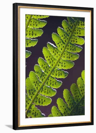 Speckled Floral-Jake Eastham-Framed Giclee Print