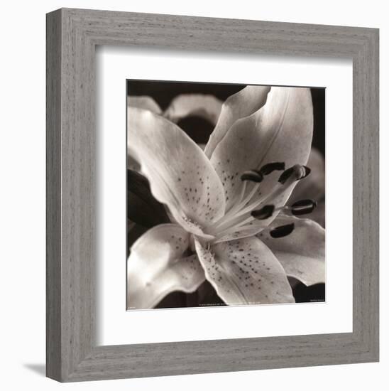 Speckled Lily-null-Framed Art Print