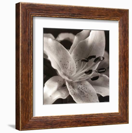 Speckled Lily-null-Framed Art Print